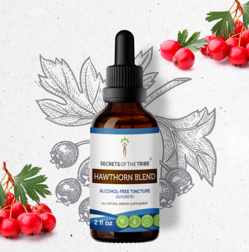Hawthorn Blend 2oz Herbal Extract - Alcohol Free Tincture - Secrets of the Tribe