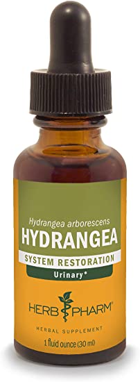 Hydrangea - 1 oz Extract - Herb Pharm