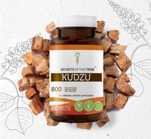 Kudzu 800mg - 60 Vegetarian Capsules - Secrets of the Tribe
