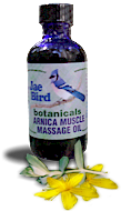 Arnica Massage Oil (Jaebird Botanicals)