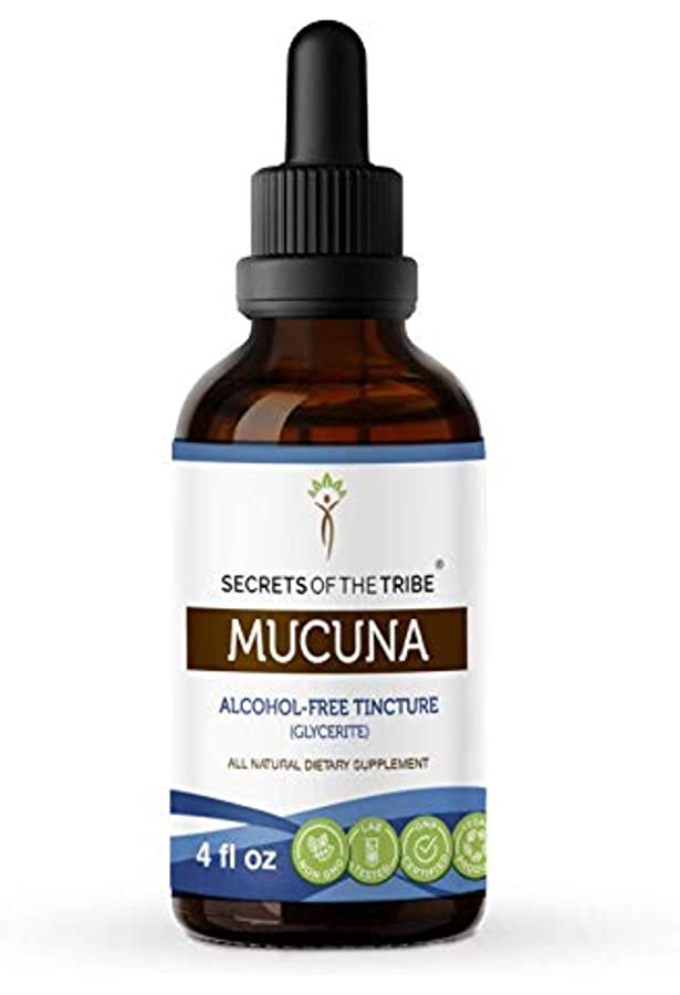 Mucuna 4oz Herbal Extract - Alcohol Free Tincture - Secrets of the Tribe