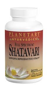 SHATAVARI (PLANETARY AYURVEDICS)